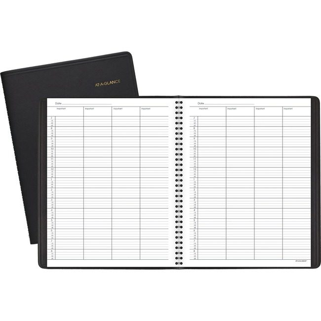 ACCO Brands AT-A-GLANCE Book Appt Daily 4PRSN Undtd AAG80-310-05