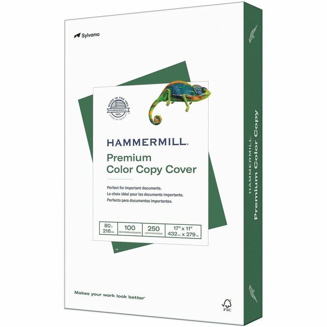 Sylvamo / Hammermill Paper Cover 17X11 We HAM120037CT