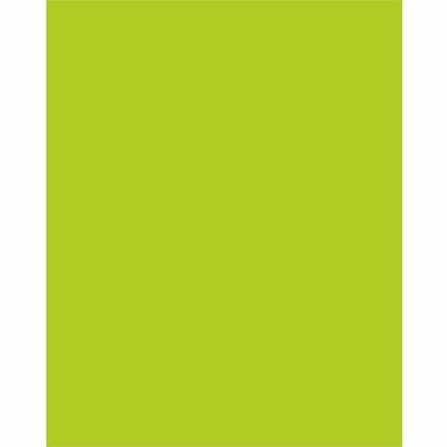 Pacon Corporation Board Poster 22X28 Lm 25 Pack PAC5411-1