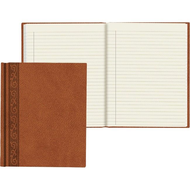 Dominion Blueline, Inc. Schneider Vizz DAVINCI NTBK 71STS 10X8 TAN REDA8004