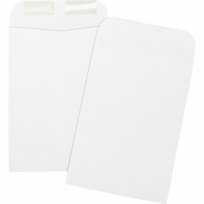 Business Source Envelope Catalog 6.5X9.5 We BSN42117