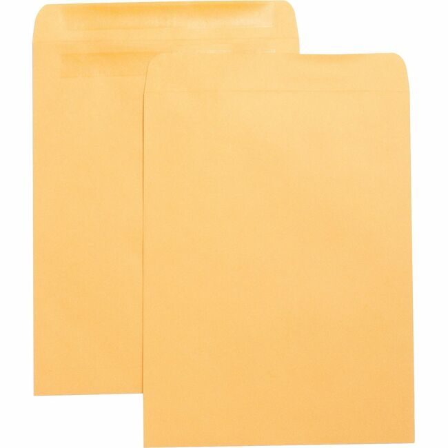 Business Source Envelope Catlg Selfsl 10X13 BSN42124