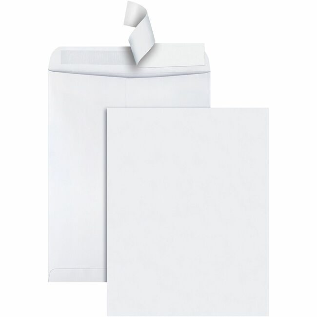 Quality Park Products Envelope R-Strp Pln 12X15.5 QUA44082