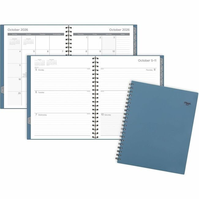 ACCO Brands AT-A-GLANCE Planner Basic Wm Large Blue AAGCRW62020