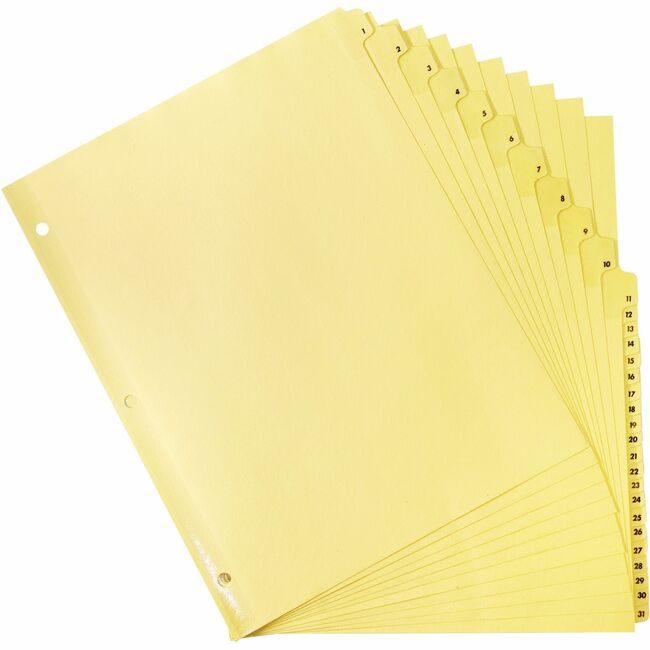 Business Source Divider Index Clrtab 1-31 BSN01808