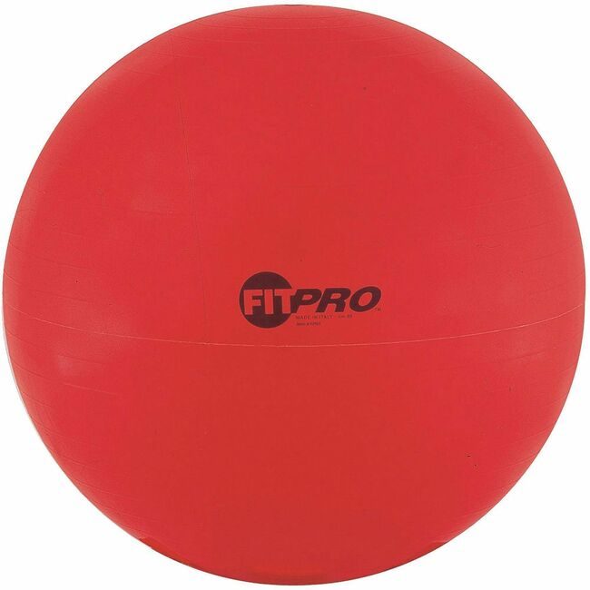 Champion Sports Ball Training EXERCISE 65CM CSIFP65