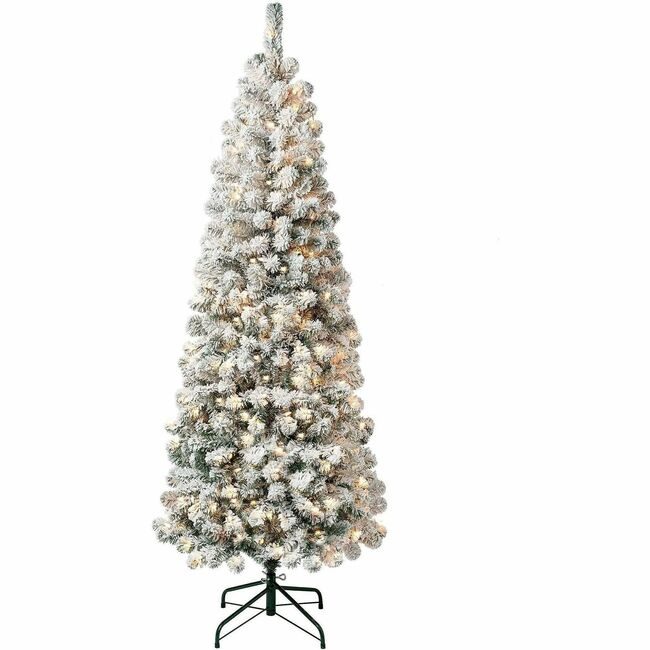 National Tree Company Acacia Flocked Wc 6FT NLT729083275050