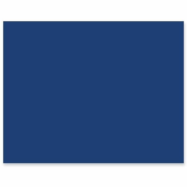 Pacon Corporation Board Rr 22X28 4PLY Dbe 25 PAC54651