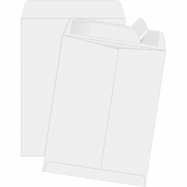 Quality Park Products Envelope Rstp Pln 11.5X14.5 QUA44834