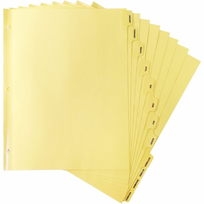 Business Source Divider Index Clrtab Monthly BSN01807