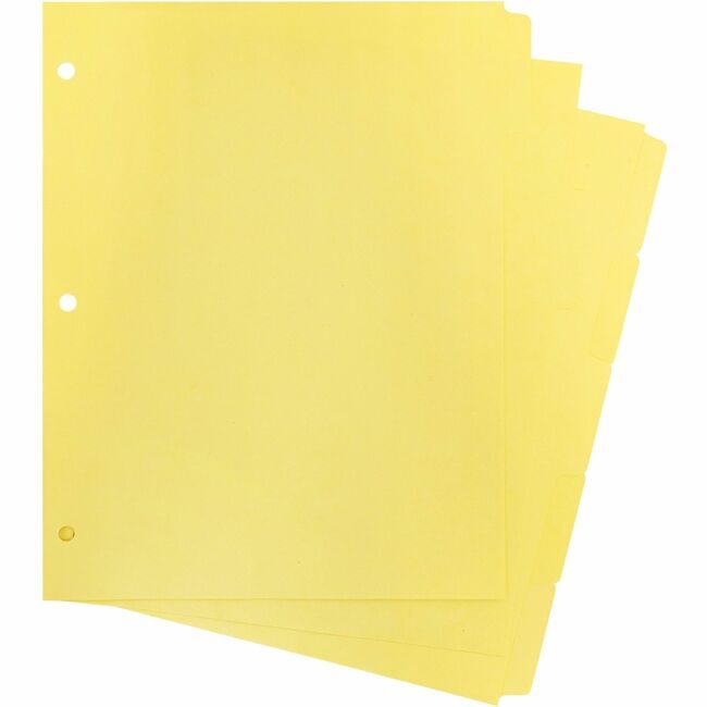 Business Source Dividers Write-On 5TAB Ca BSN16480