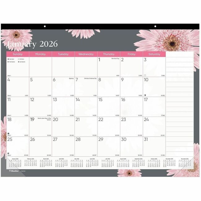 Dominion Blueline, Inc. Schneider Vizz Deskpad Mthy 22X17 Pack REDC193105