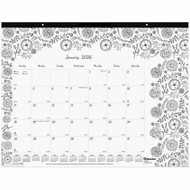 Dominion Blueline, Inc. Schneider Vizz Deskpad Coloring Botncl Large REDC2917311
