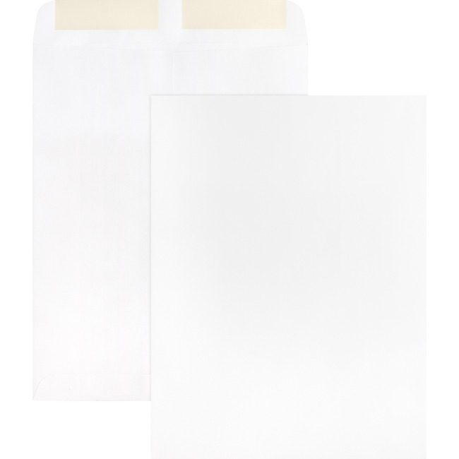 Business Source Envelope Catalog 9X12 We BSN42102