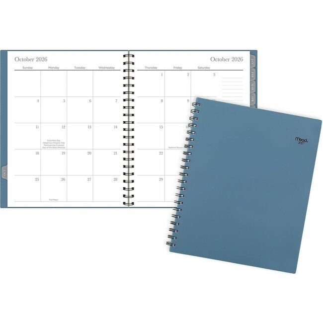 ACCO Brands AT-A-GLANCE Planner Basic Monthly Large Blue AAGCRM90020