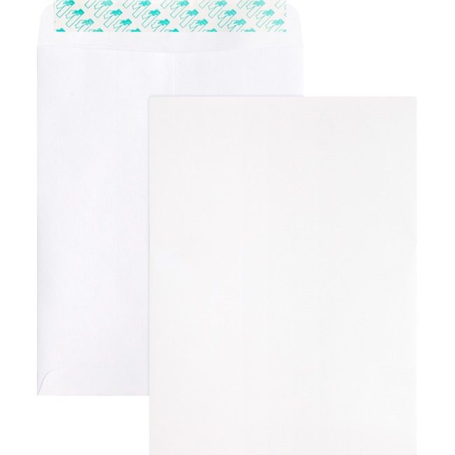 Business Source Envelope Catlg Selfsl 9X12 BSN65450