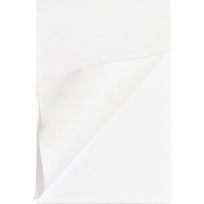 Business Source Pad Memo 4X6 Plain 100SH We BSN65901