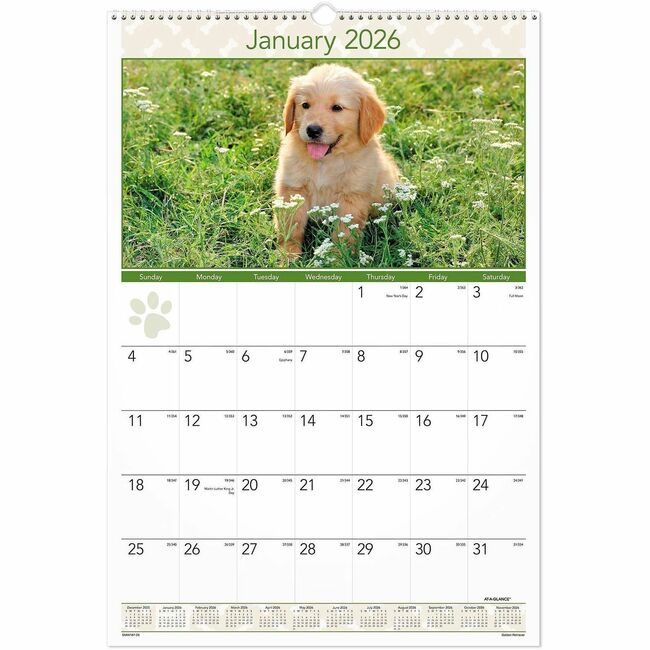 ACCO Brands AT-A-GLANCE Calendar Wall Month Puppies AAGDMW16728