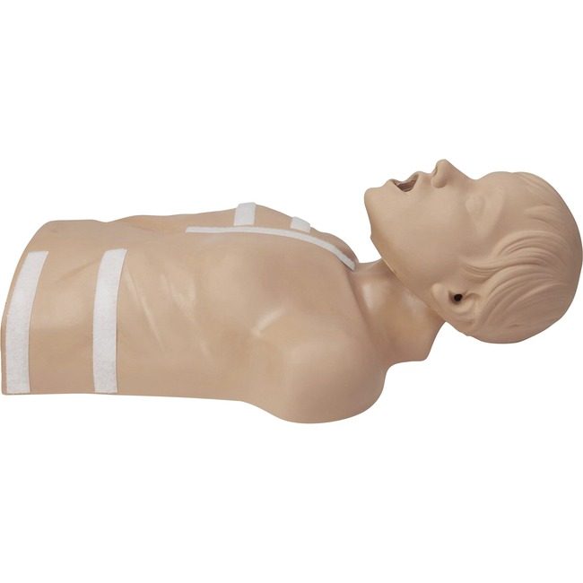 ZOLL Medical AED3 Training Manikan ZOL8000083501