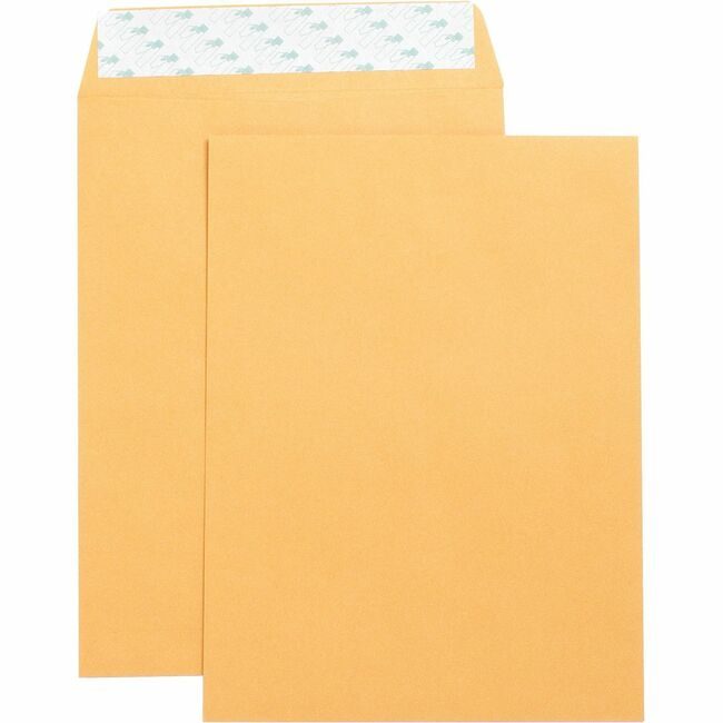 Business Source Envelope Catlg Selfsl 9X12 BSN42120