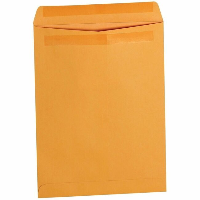 Business Source Envelope Cat 9X12 28# BSN35290