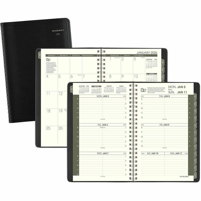 ACCO Brands AT-A-GLANCE Book Appt Wkly/Mnth Recycld AAG70-100G-05