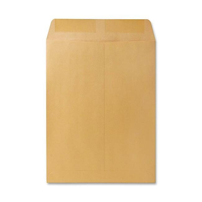 Quality Park Products Envelopes 9.5X12.5 250/BX QUA41565