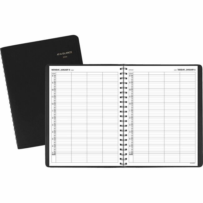 ACCO Brands AT-A-GLANCE Book Appt Daily 4PRSN 8X11 AAG70-822-05