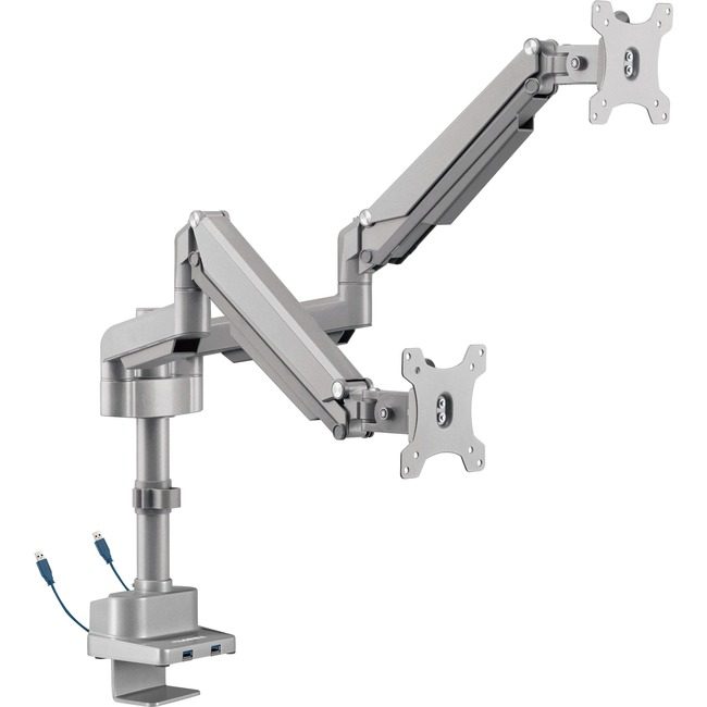 Lorell Arm Monitor Dual With Pole LLR99803