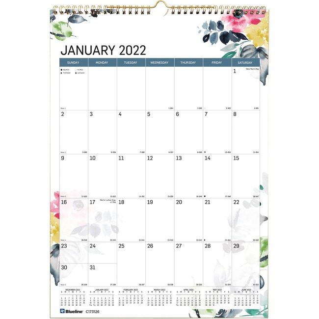 Dominion Blueline, Inc. Schneider Vizz Wallcal Monthly 17X12 Passion REDC173126