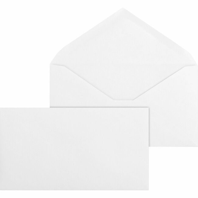 Business Source Envelope Diag Seam Reg #6 BSN42252