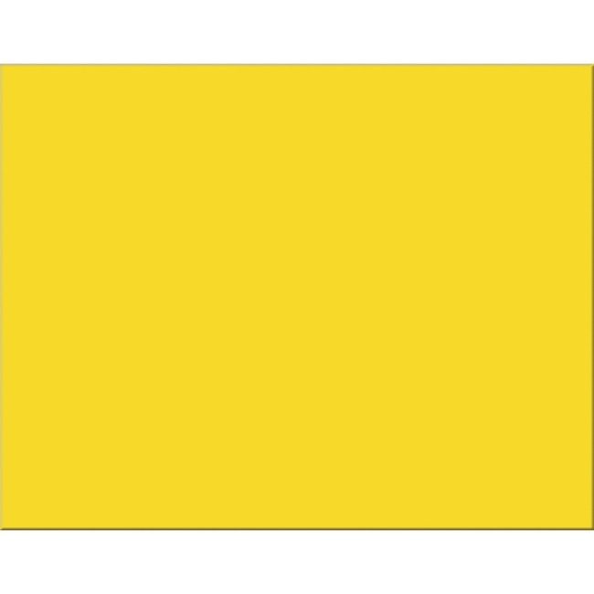 Pacon Corporation Board Rr 22X28 4PLY Yw 25 Pack PAC54721