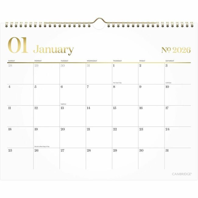 ACCO Brands AT-A-GLANCE Wallcal Wkstyl Mo Medium White AAG1606707