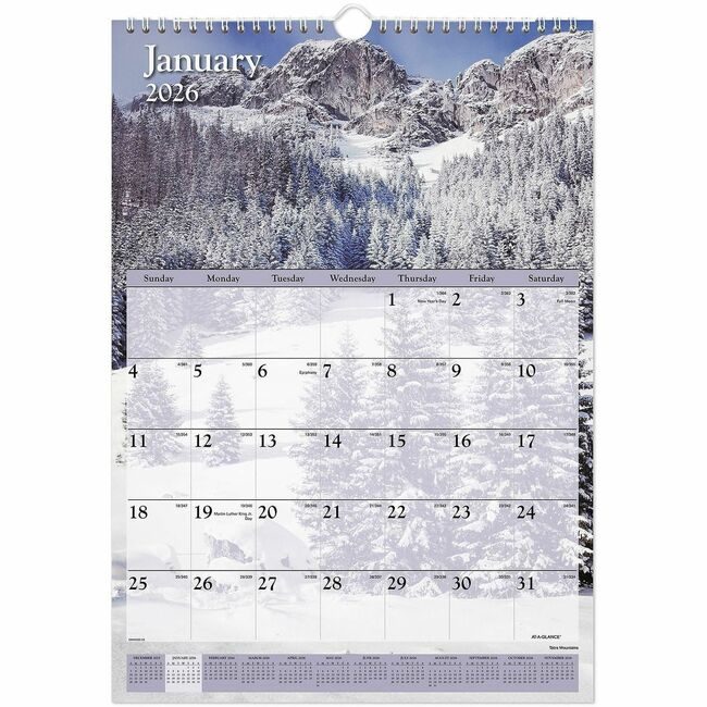 ACCO Brands AT-A-GLANCE Calendar Wall Scenic 12X17 AAGDMW20028