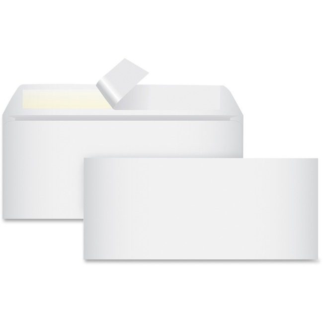 Business Source Envelope Redistrip #10 Reg BSN99713