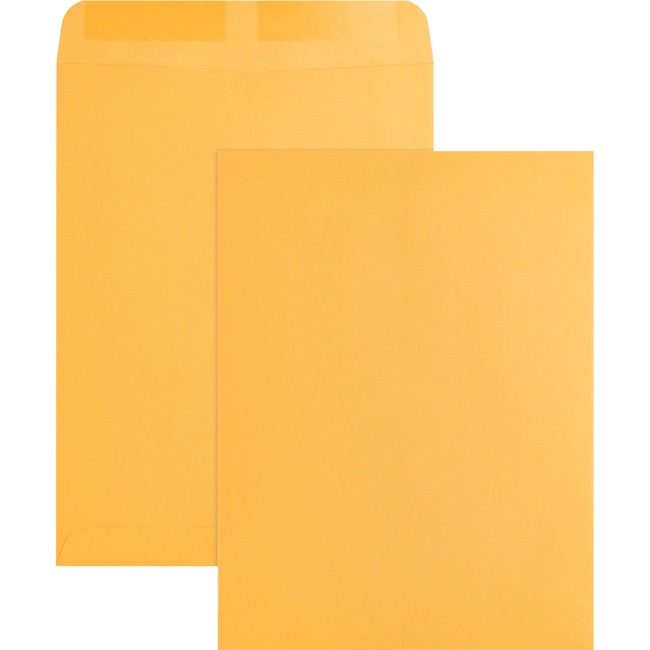 Business Source Envelope Catalog 9X12 Kft BSN42100