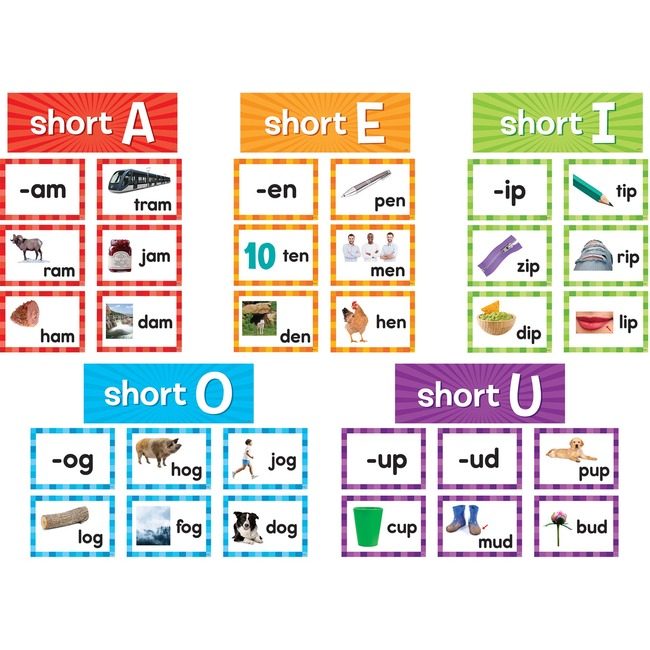Teacher Created Resources Set Chart Pkt Cards Shortvwls TCR20850