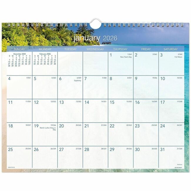 ACCO Brands AT-A-GLANCE Calendar Wall Tropical Escp AAGDMWTE828