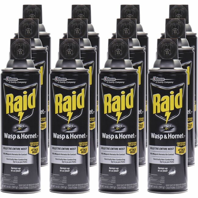 SC Johnson Professional Insecticide Wasp&Hornt Raid SJN377651CT