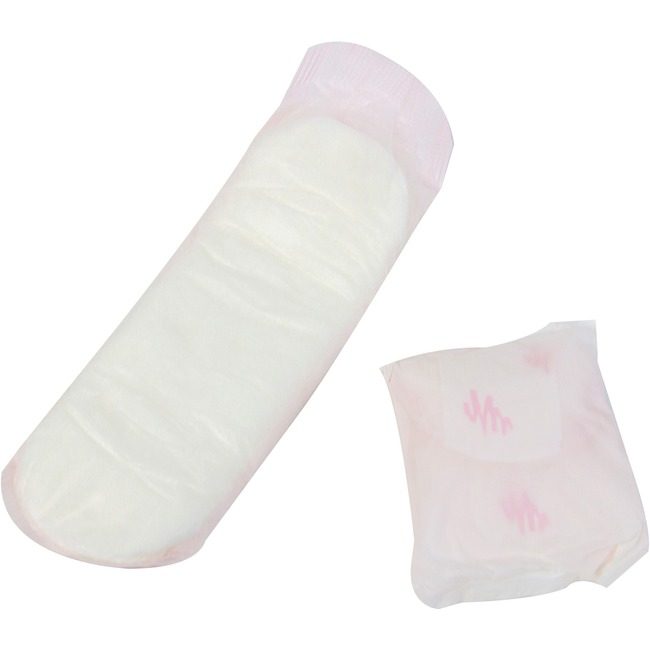 Hospeco Brands Group Pads Maxi 250 Count HOS250IM