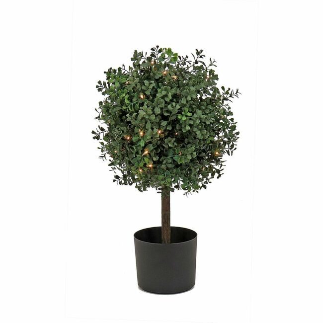 National Tree Company Boxwoodball Top Wc 2FT NLT729083527173