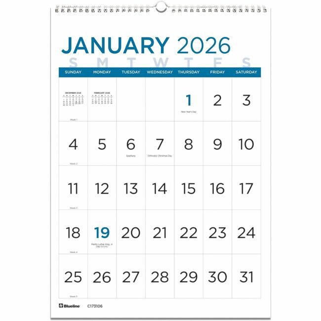 Dominion Blueline, Inc. Schneider Vizz Wallcal Monthly 17X12 Lgprnt REDC173106