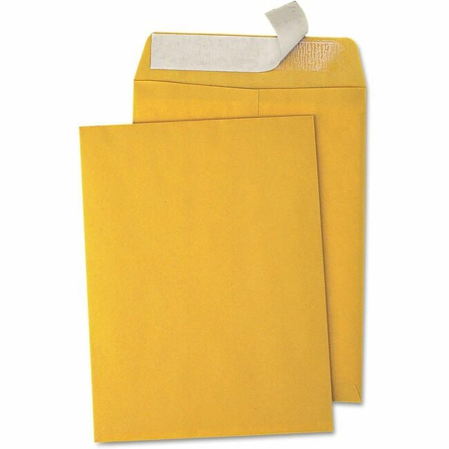 Business Source Envelope Cat 9X12 Bn Ps BSN40102