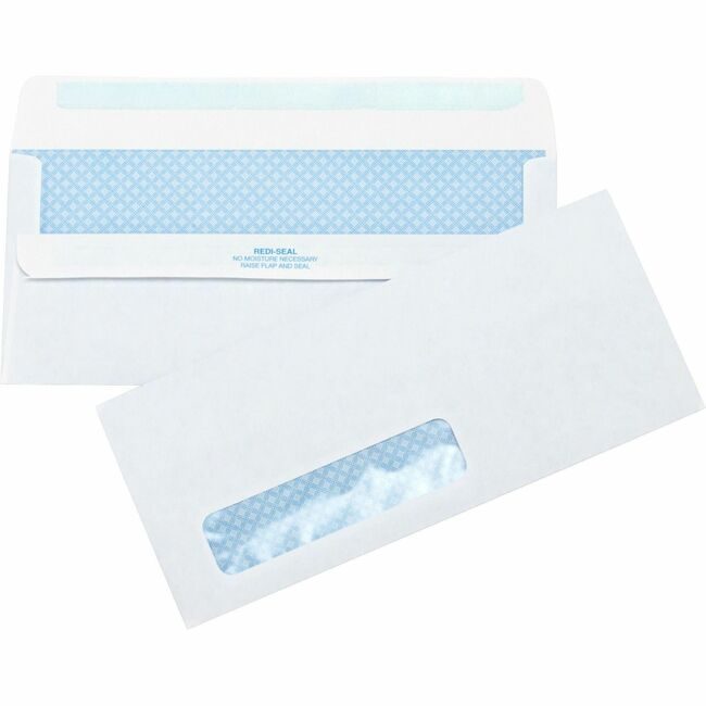 Business Source Envelope Slfseal Secur Wndw BSN42207