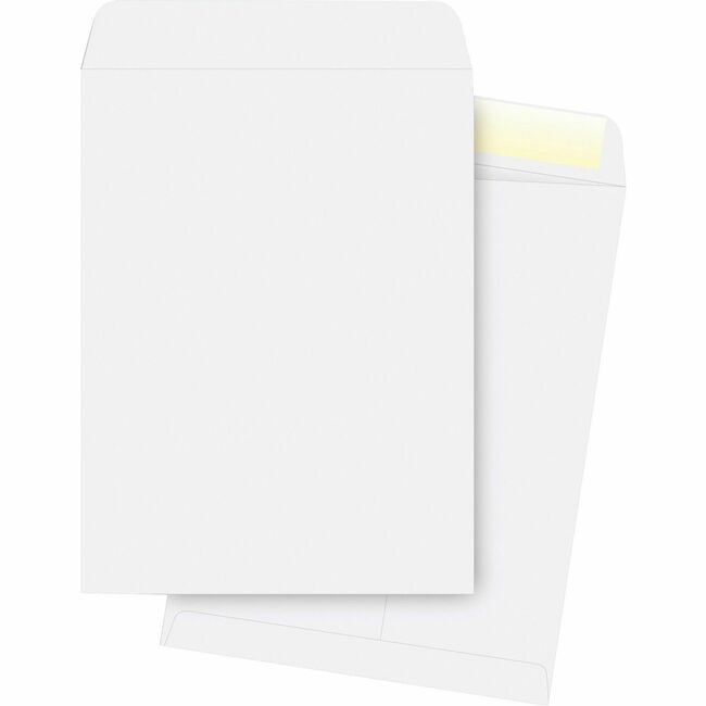 Business Source Envelope Catalog 10X13 We BSN42103