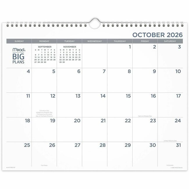 ACCO Brands AT-A-GLANCE Wall Big Plans Monthly Medium AAGCR30707