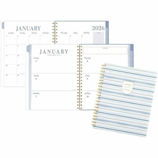 ACCO Brands AT-A-GLANCE Planner Lbisch Wm Large Stripe AAGLB42905