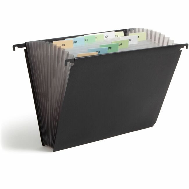 Smead Manufacturing Co. File Hang Expnd Poly 12PCKT SMD65125