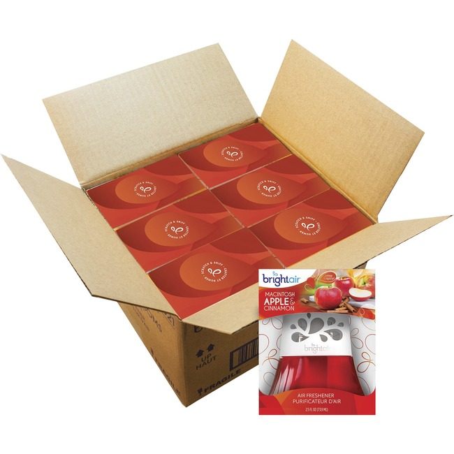 Bright Air Freshener Oil Cinnmn BRI900022CT