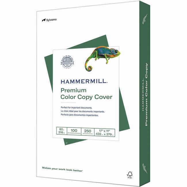 Sylvamo / Hammermill Paper Cover 17X11 We HAM120037